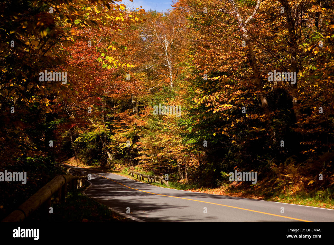 A winding road leading to Mount Greylock summit is surrounded with colorful trees in Berkshire county, Massachusetts Stock Photo