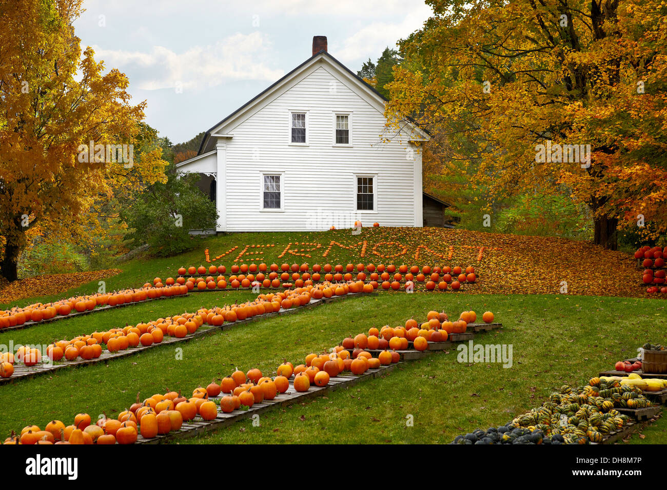 Vermont pumpkin farm Stock Photo Alamy