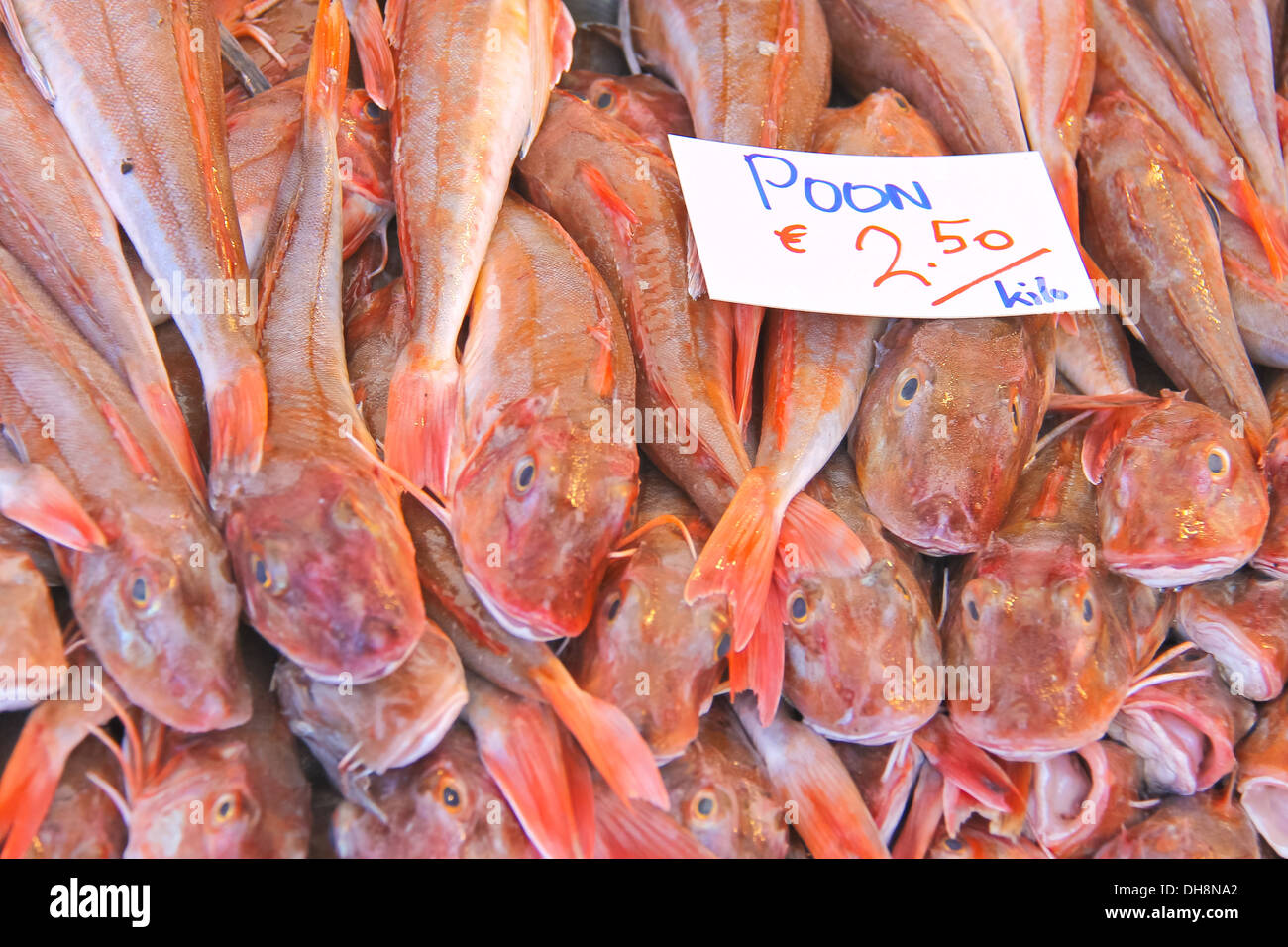 Sales of fresh fish on the market Stock Photo Alamy