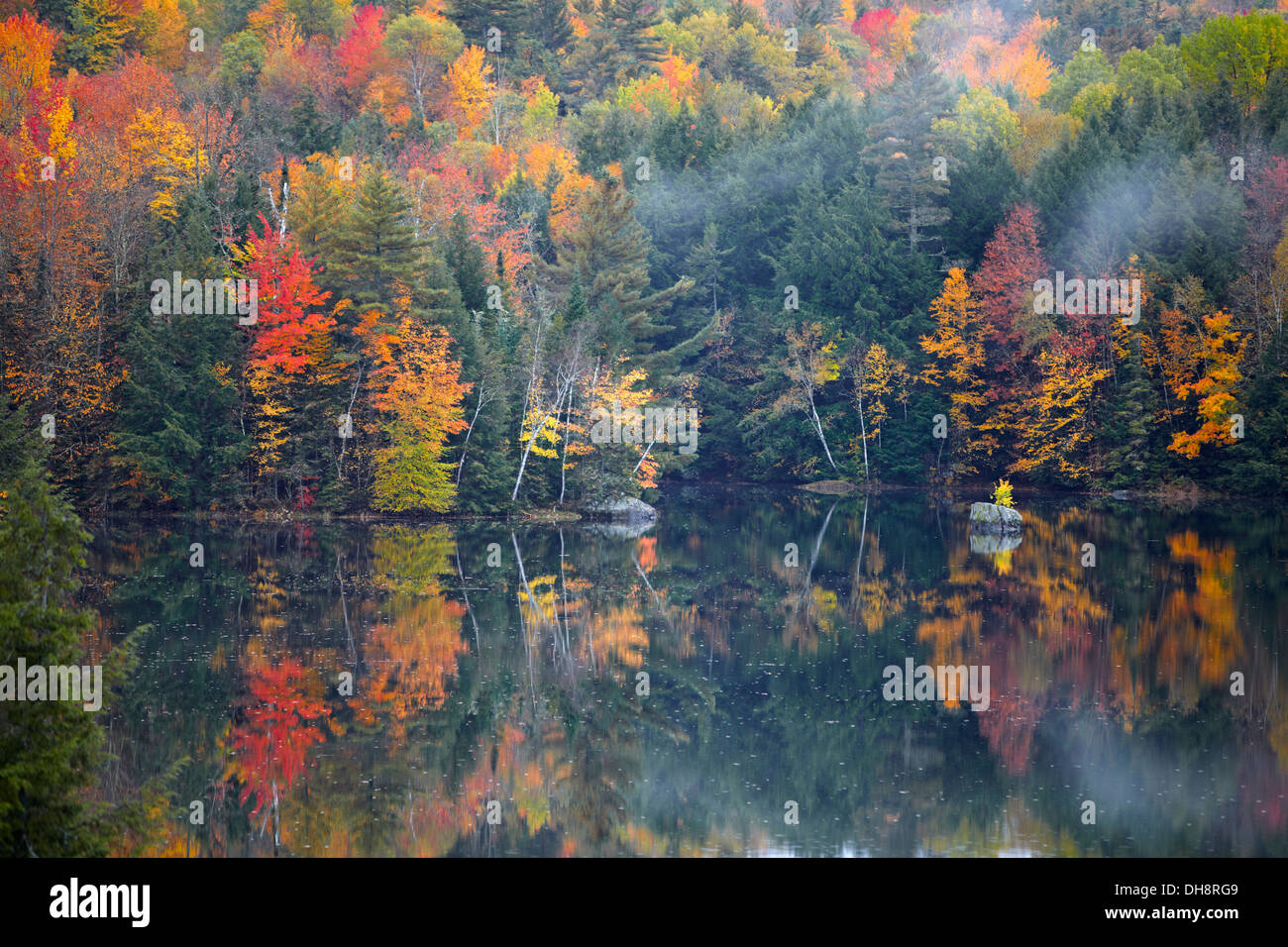 Trees with fall leaves reflecting in lake Stock Photo