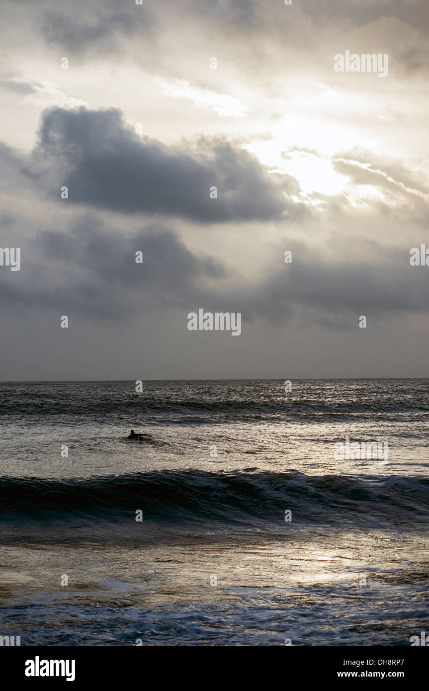 surfing the south devon coast,paignton,swell,set,surf Stock Photo Alamy