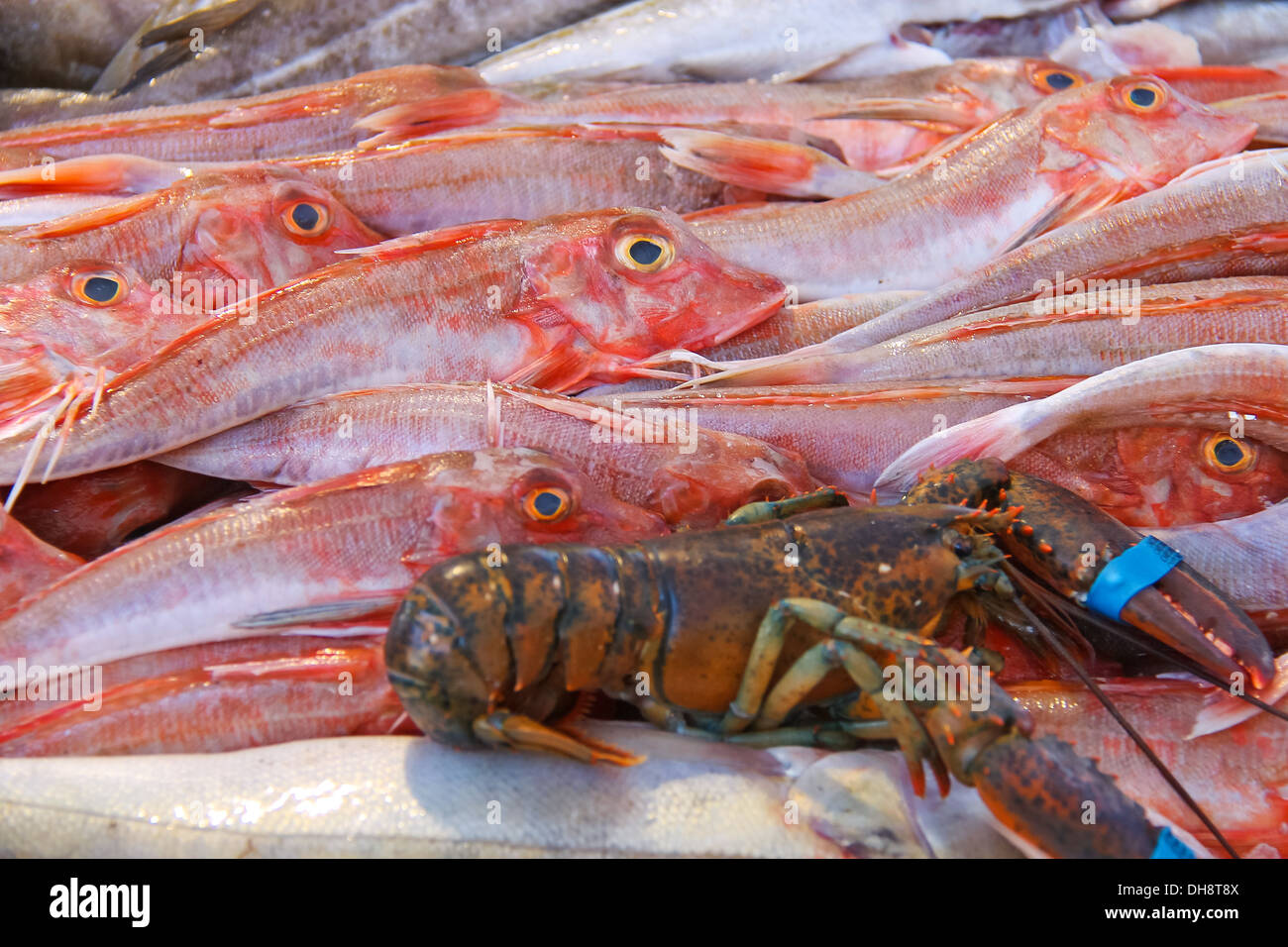 Sales of fresh fish on the market Stock Photo Alamy