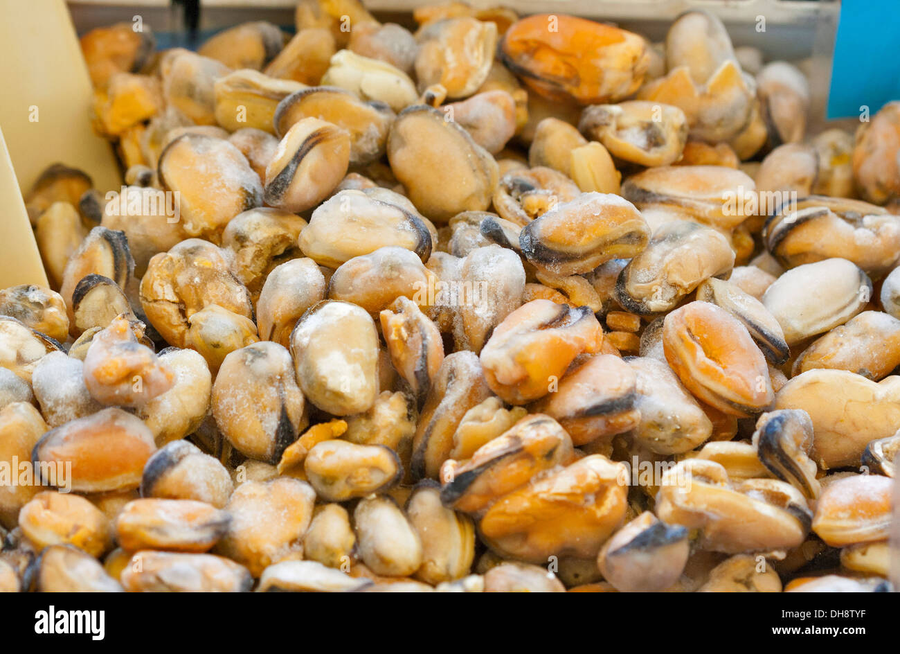 fresh peeled frozen mussels closeup Stock Photo Alamy