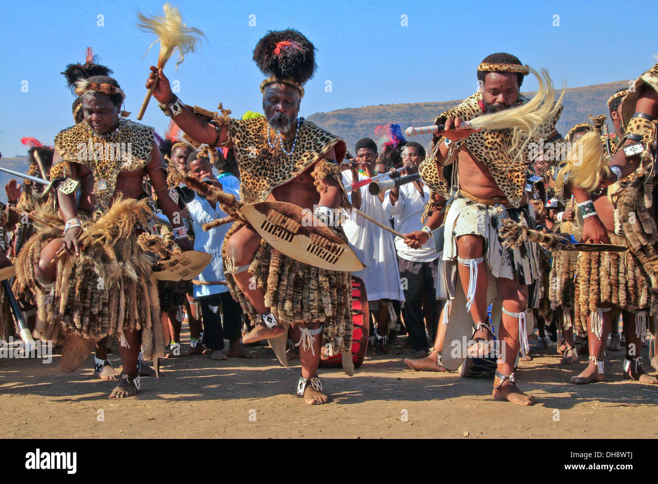 Zulu men from Nazareth Baptist Church in Kwazulu Natal play their Stock ...