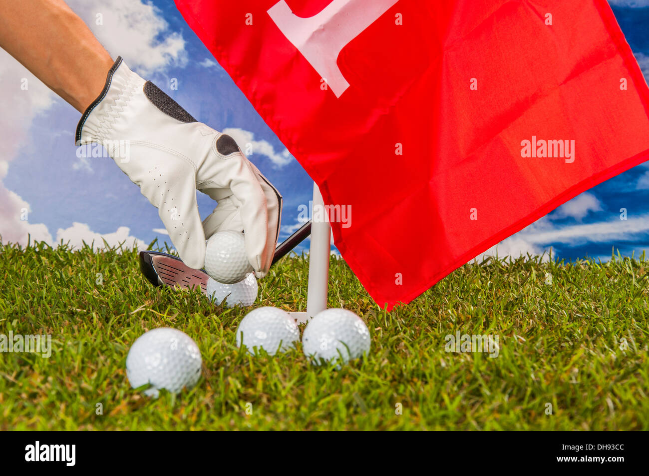 Golf stuff on green grass Stock Photo Alamy