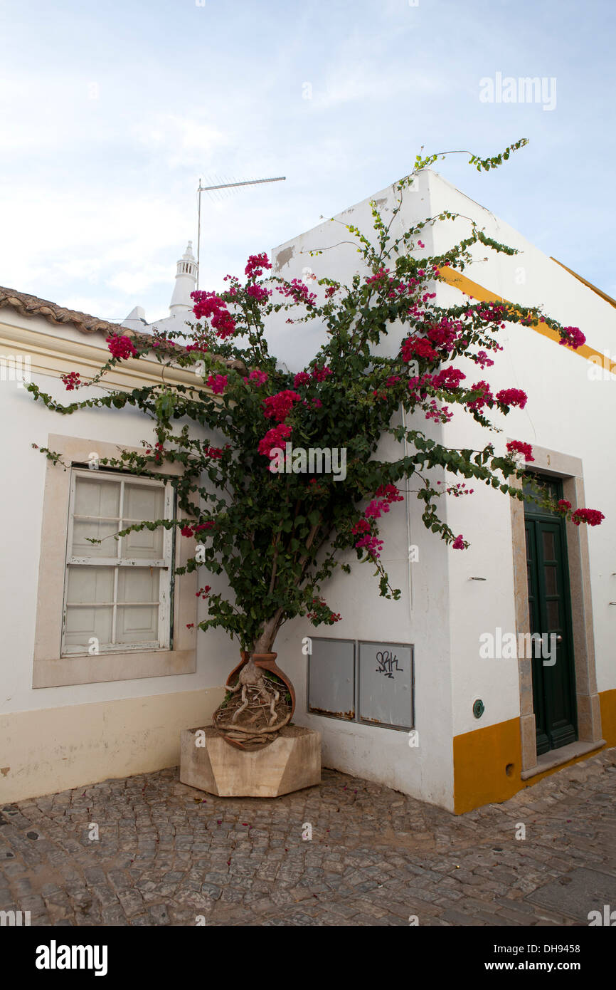 Faro Street, Stock Photo