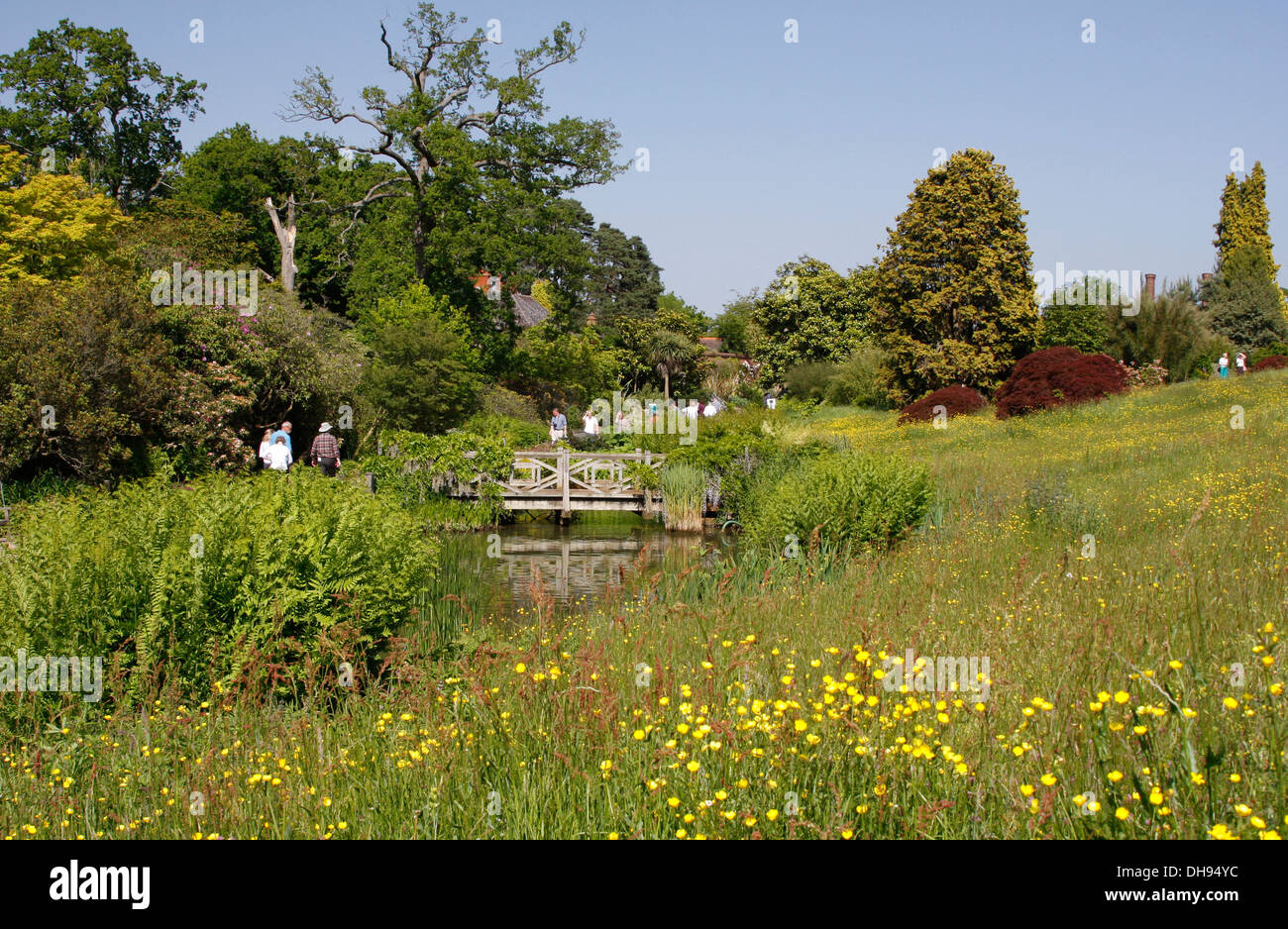 RHS Wisley Gardens in the Summer Stock Photo