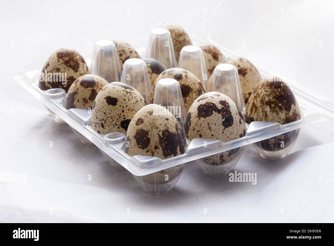 A dozen quail eggs in box. Stock Photo