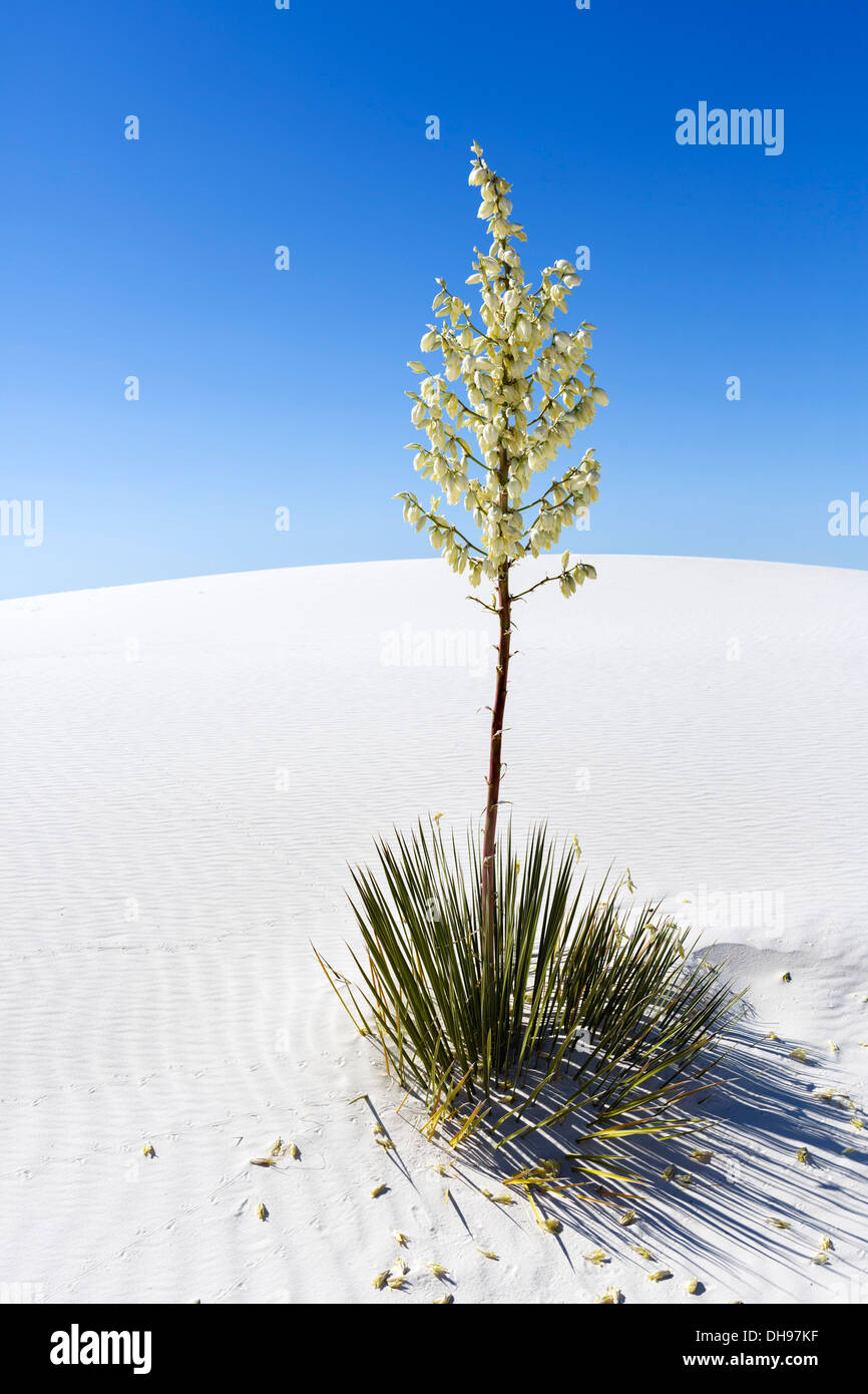 White Sands National Monument, near Alamogordo, New Mexico, USA Stock Photo