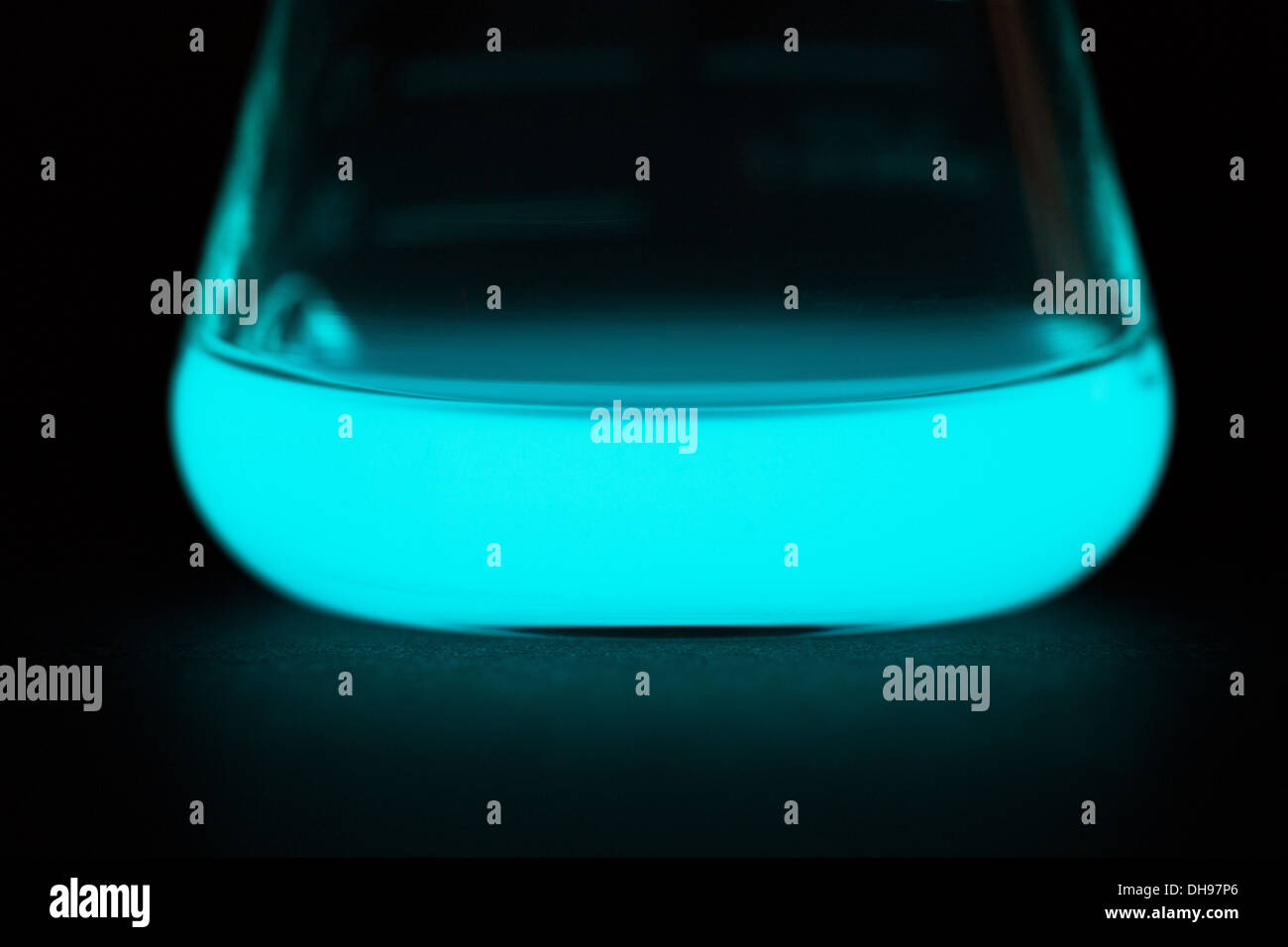 Example showing glow of bioluminescence. Bioluminescent marine bacteria emitting light when reacting with oxygen in medium Stock Photo