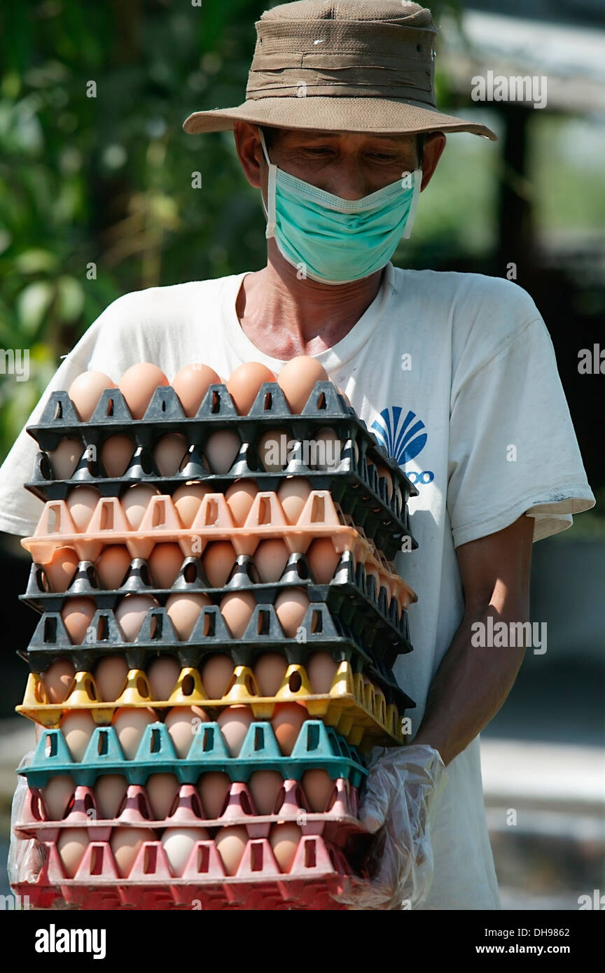 Farmers In Bago During An Outbreak Of Bird Flu Or H5N1, Collecting And Stacking Eggs For Sale; Yangon, Burma Stock Photo