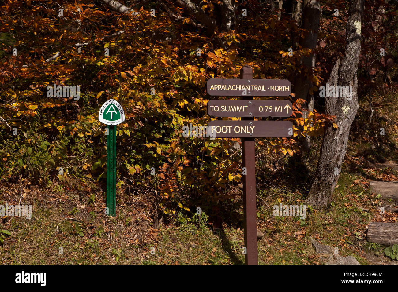 Massachusetts Mt. Greylock State ReservationTitle