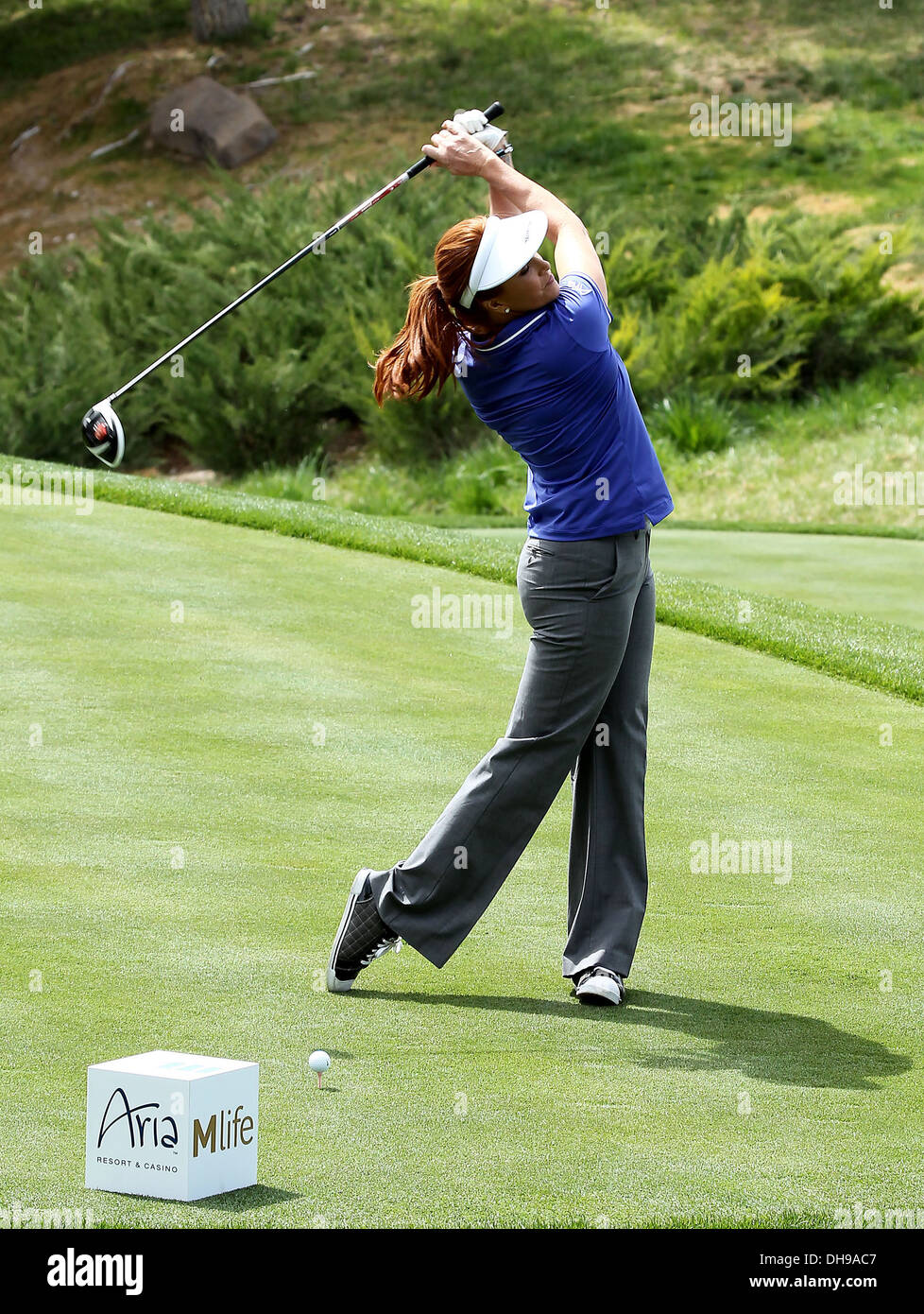 michael jordan shadow