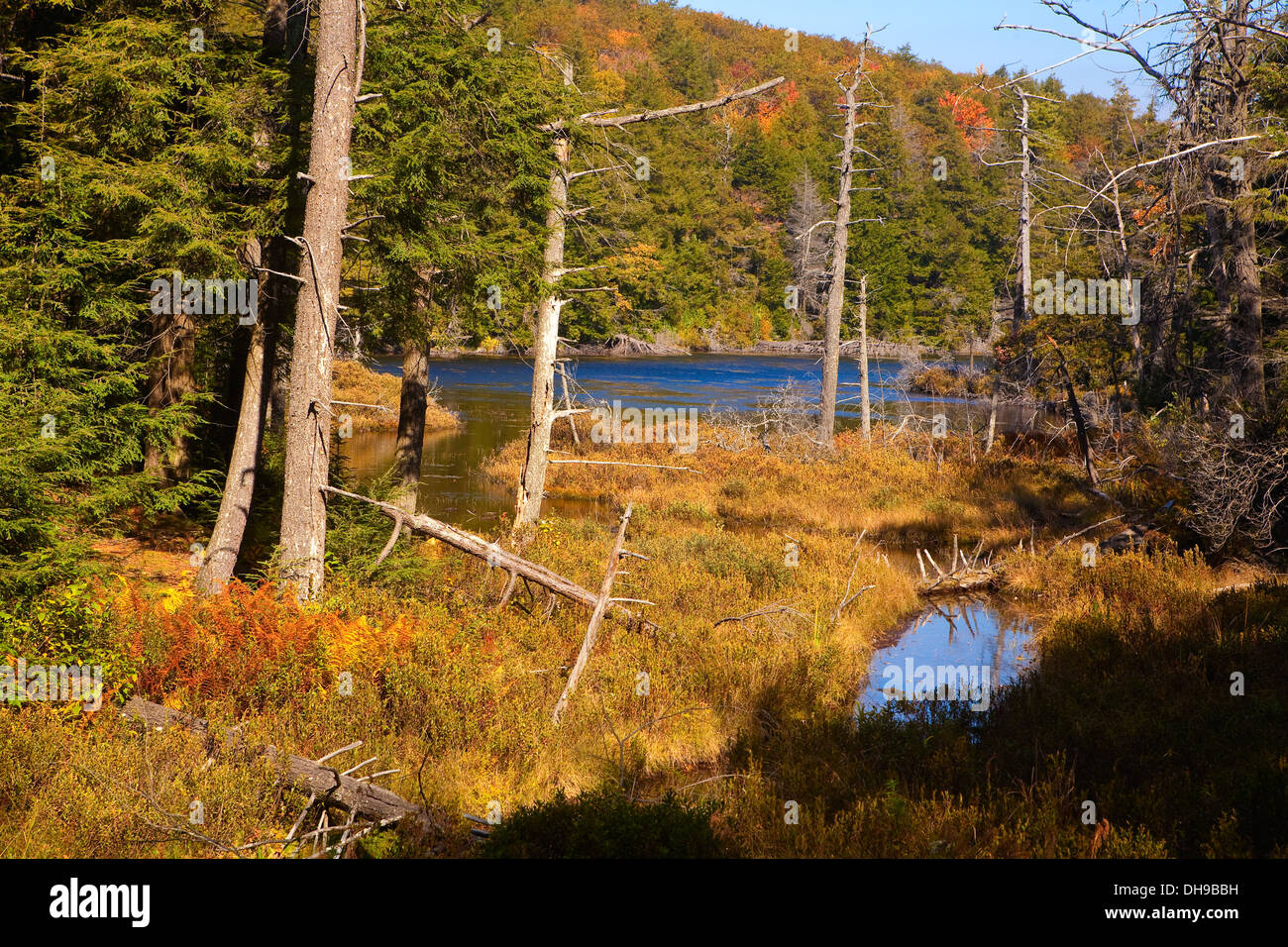 A lake is pictured in front of a colorful fall landscape in Berkshire county' Mount Everett State Reservation, Massachusetts Stock Photo