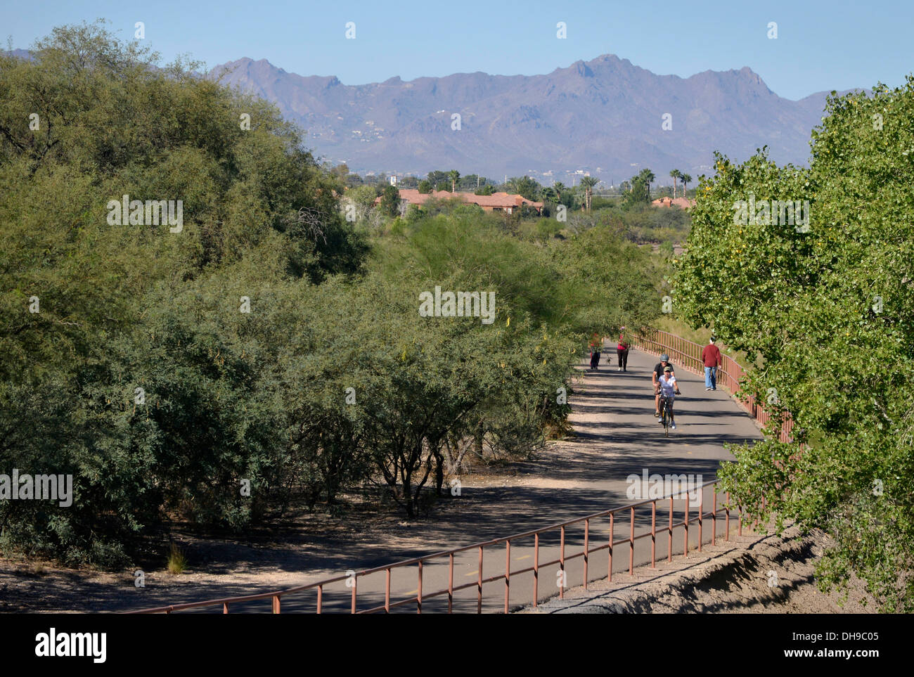 Outdoor enthusiasts traverse The Loop at the Rillito River Park west of Craycroft Road in Tucson, Arizona, USA. Stock Photo