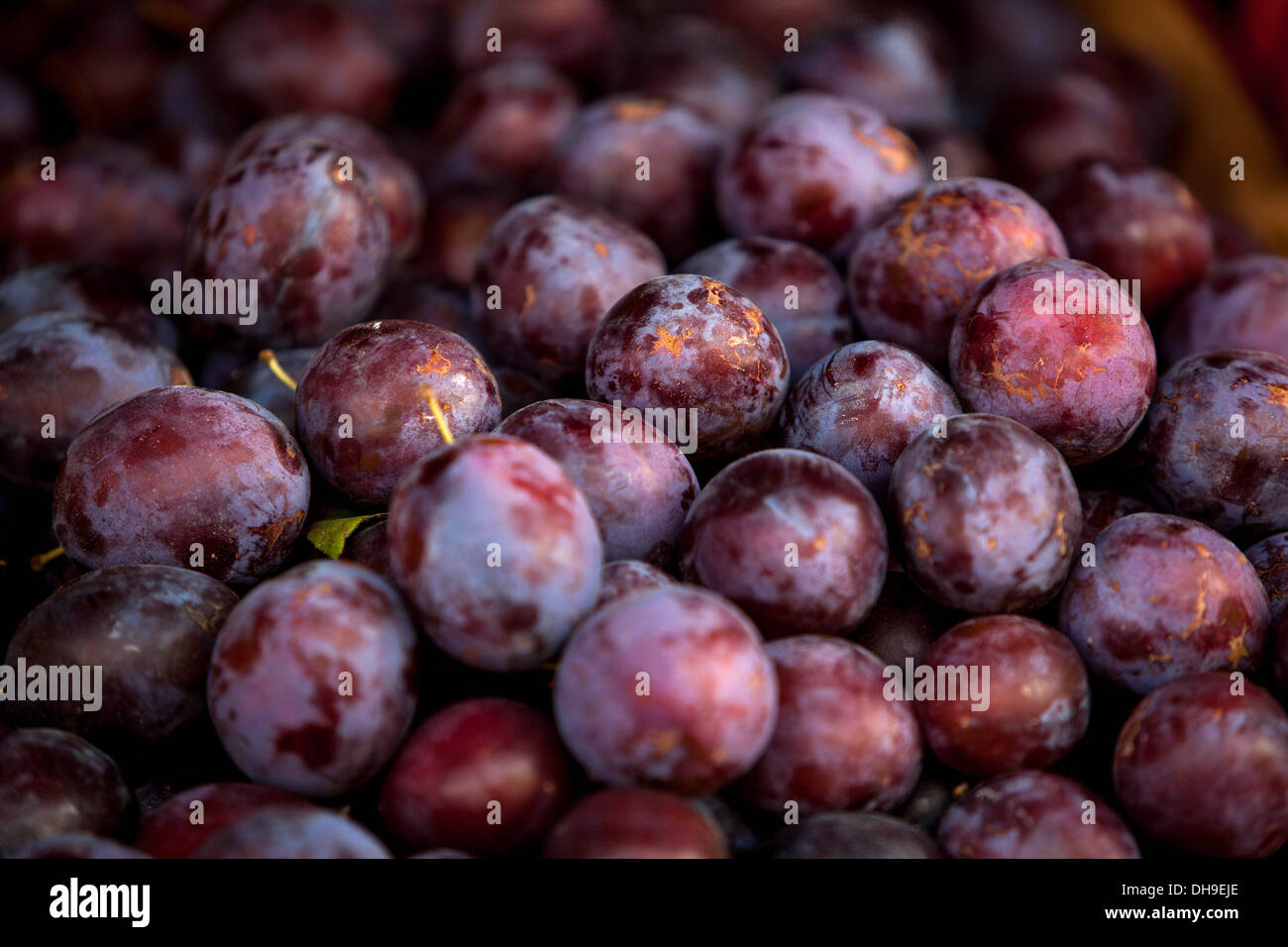 Street selling Plum fruits Prague Czech Republic, Europe Stock Photo