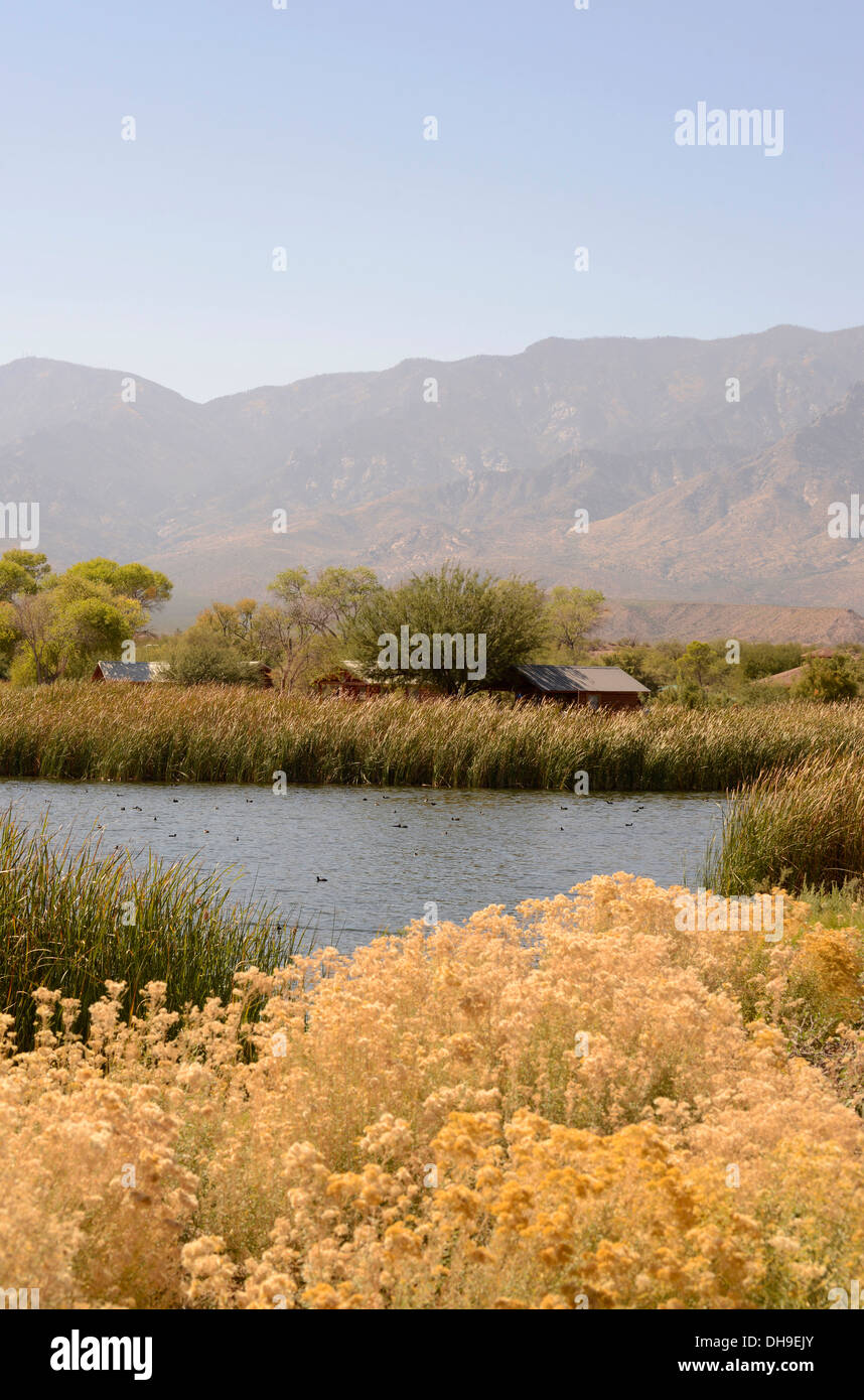 Rental cabins border Roper Lake at Roper Lake State Park in Graham County, Safford, Arizona, USA