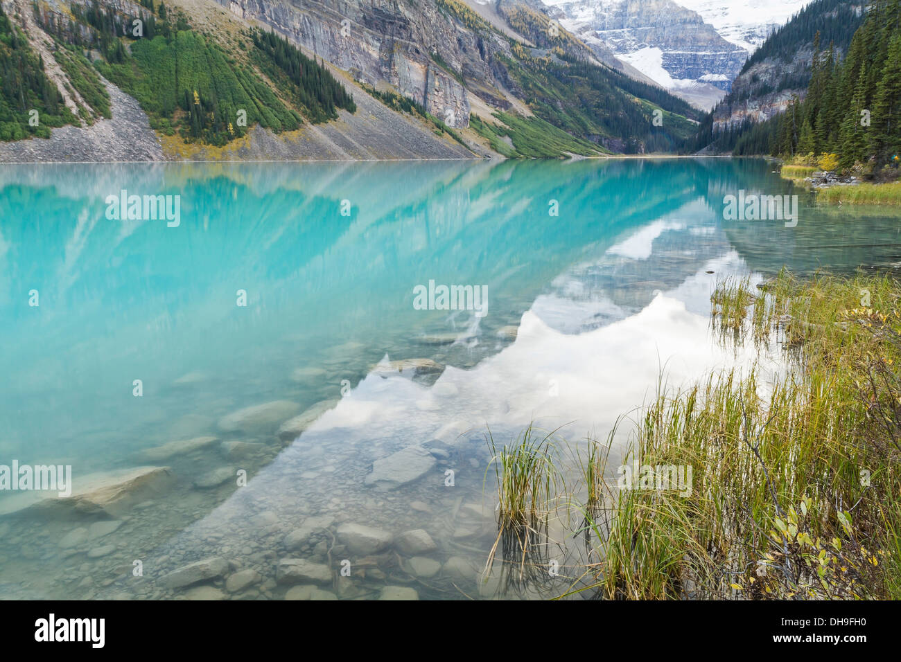 Mountains and glaciers reflected in the idyllic azure glacial waters and  grassy shoreline of Lake Louise, Alberta, Canada Stock Photo - Alamy