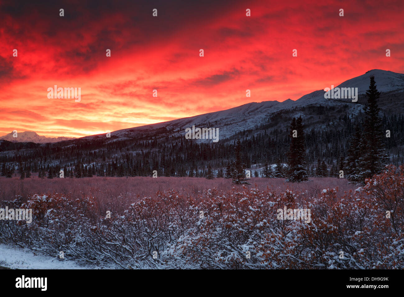 Sunrise over Denali National Park, Alaska Stock Photo Alamy