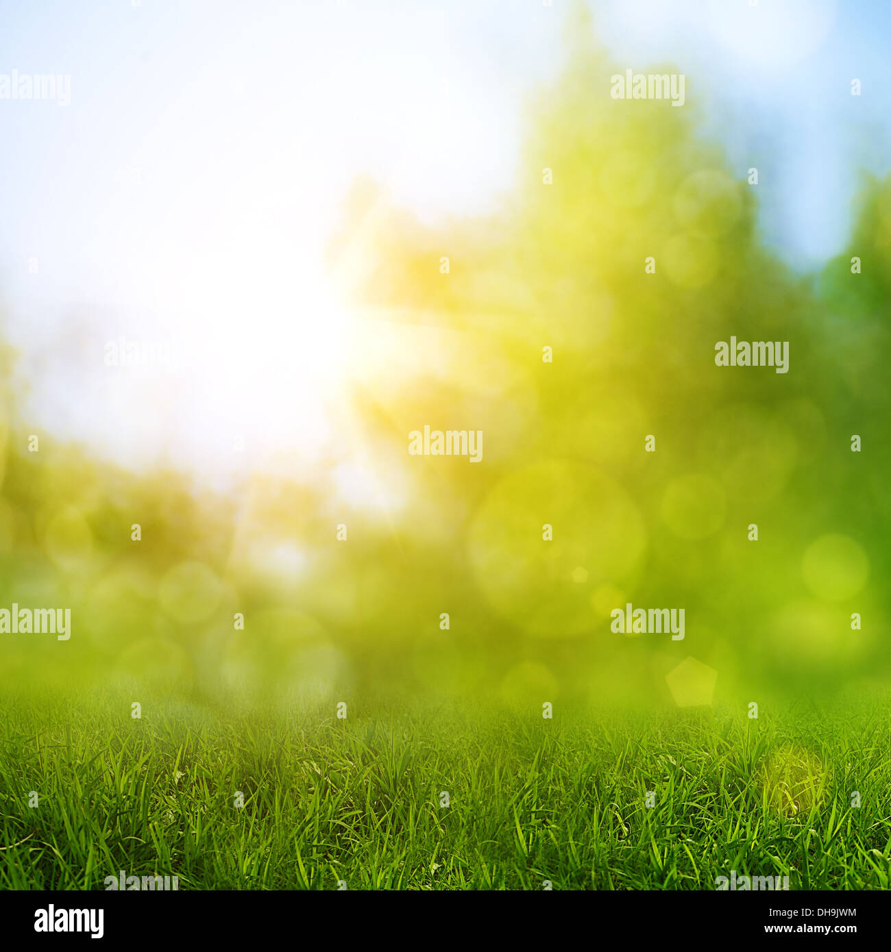 Green grass against abstract natural backgrounds Stock Photo - Alamy
