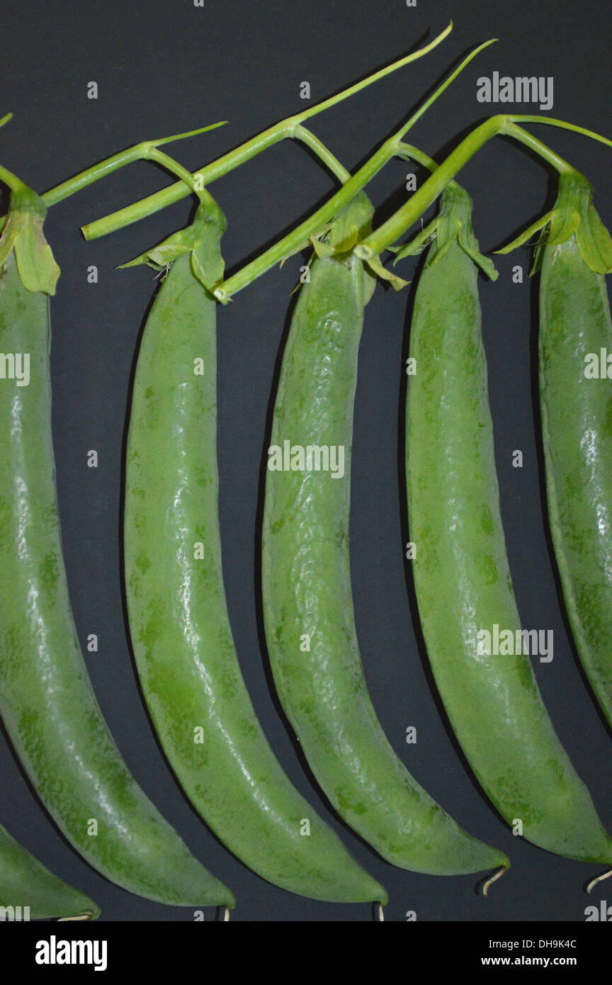 Five green beans hi-res stock photography and images - Alamy
