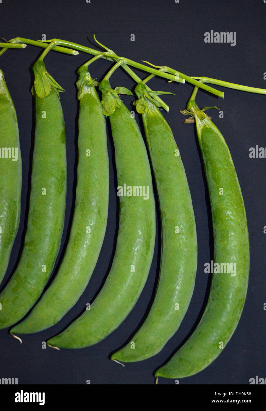 Five green beans hi-res stock photography and images - Alamy