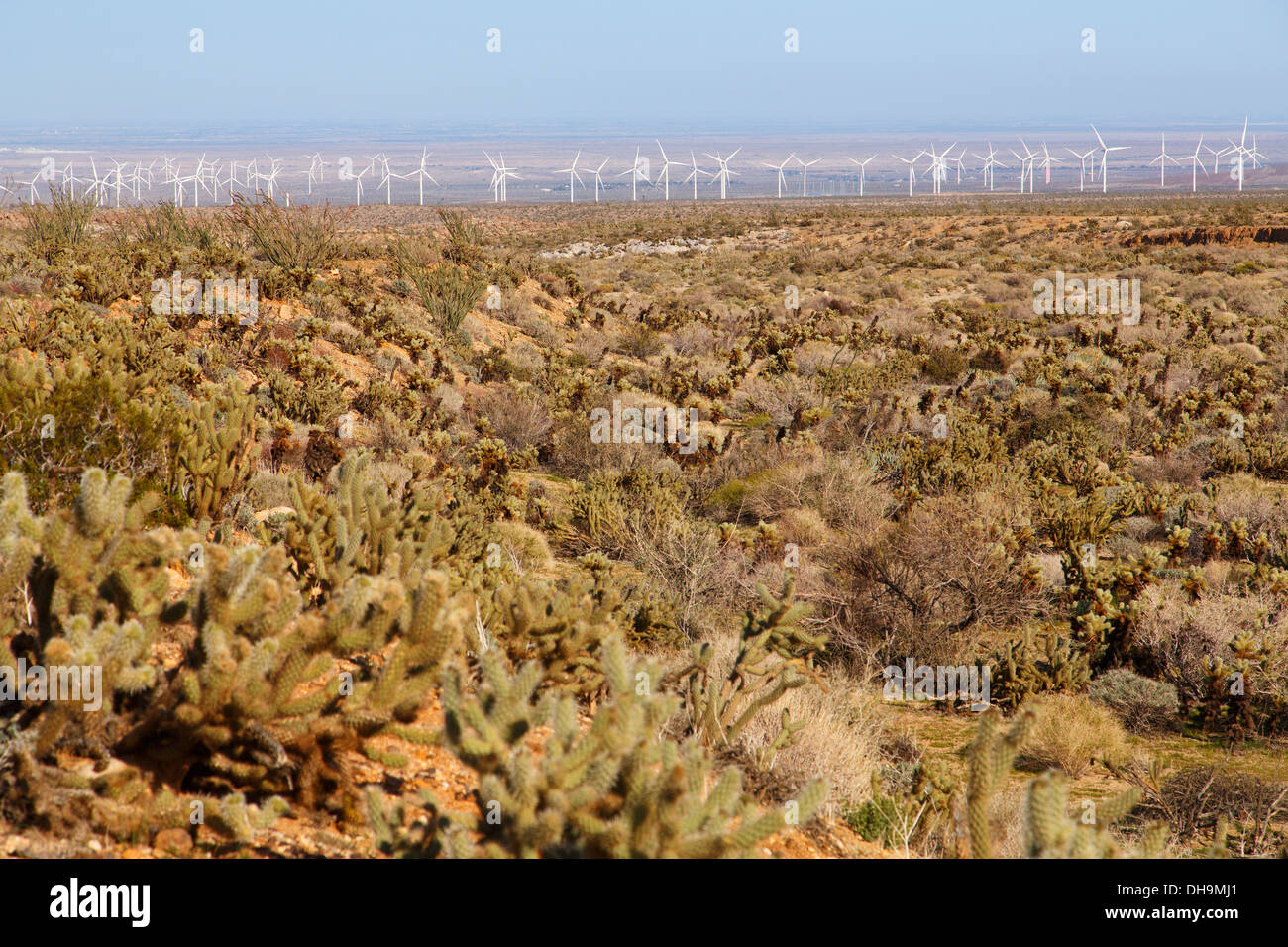 Ocotillo wind farm, AnzaBorrego Desert State Park, California Stock