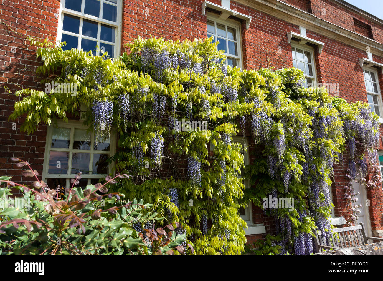 Houses in the Salisbury Cathedral Close old style architecture &design