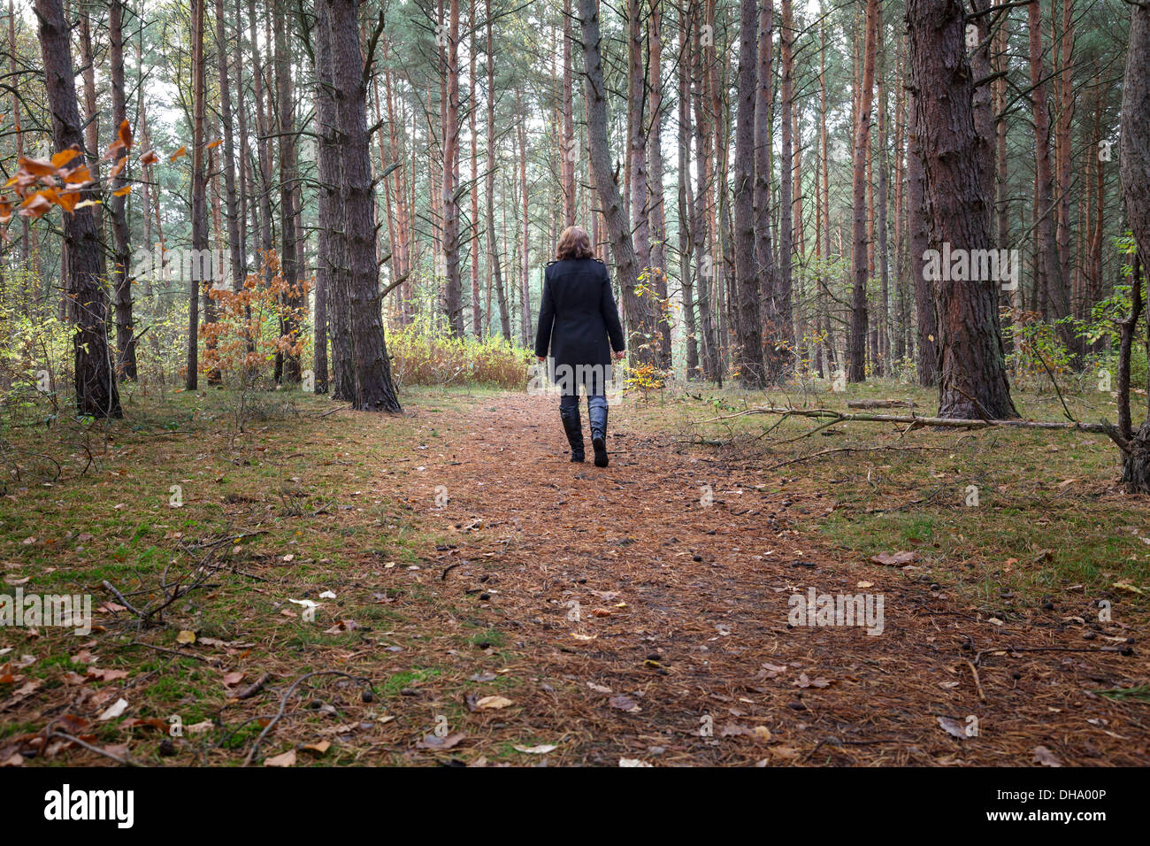 Girl walking in forest 2025