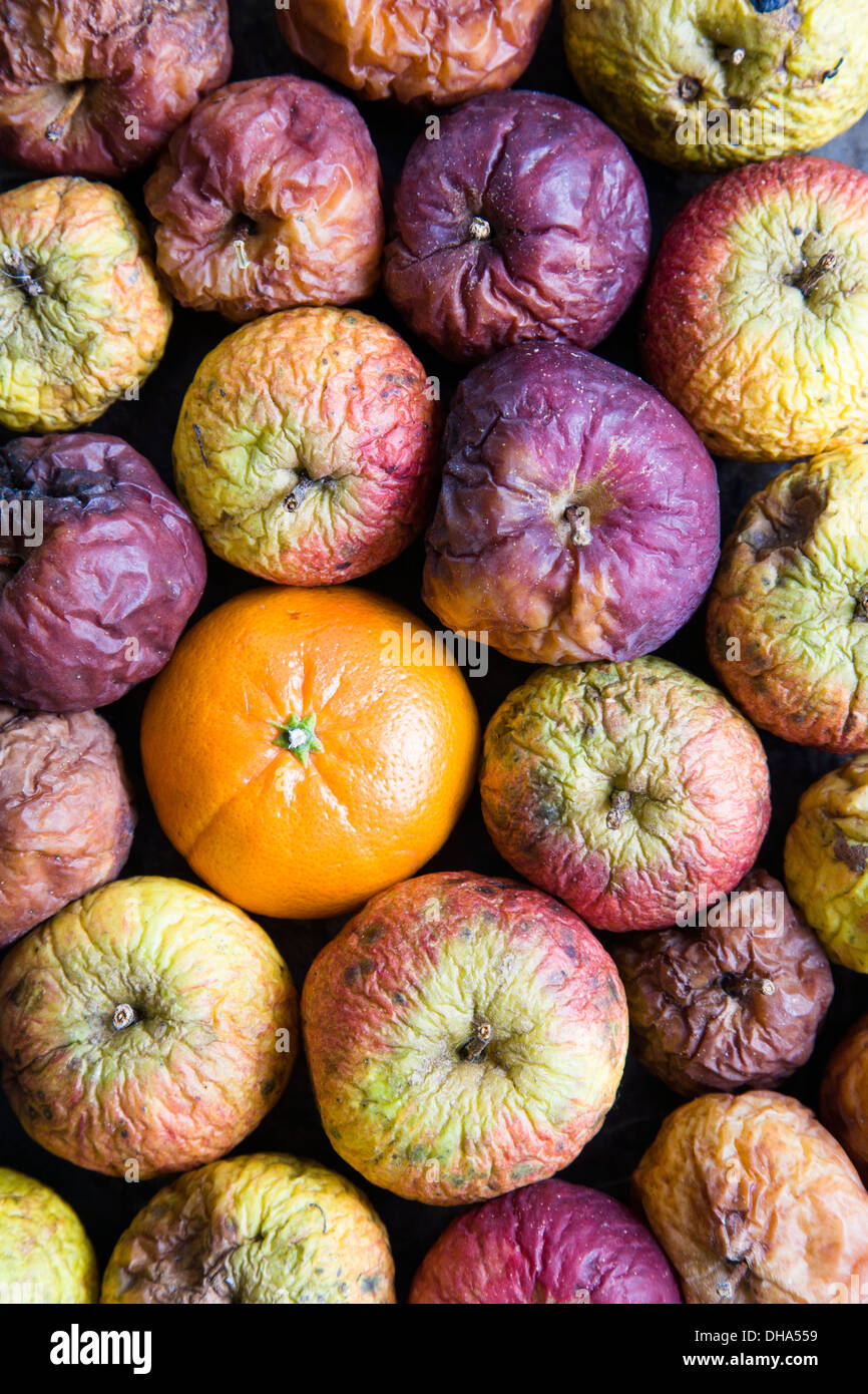 Fruit stored hires stock photography and images Alamy