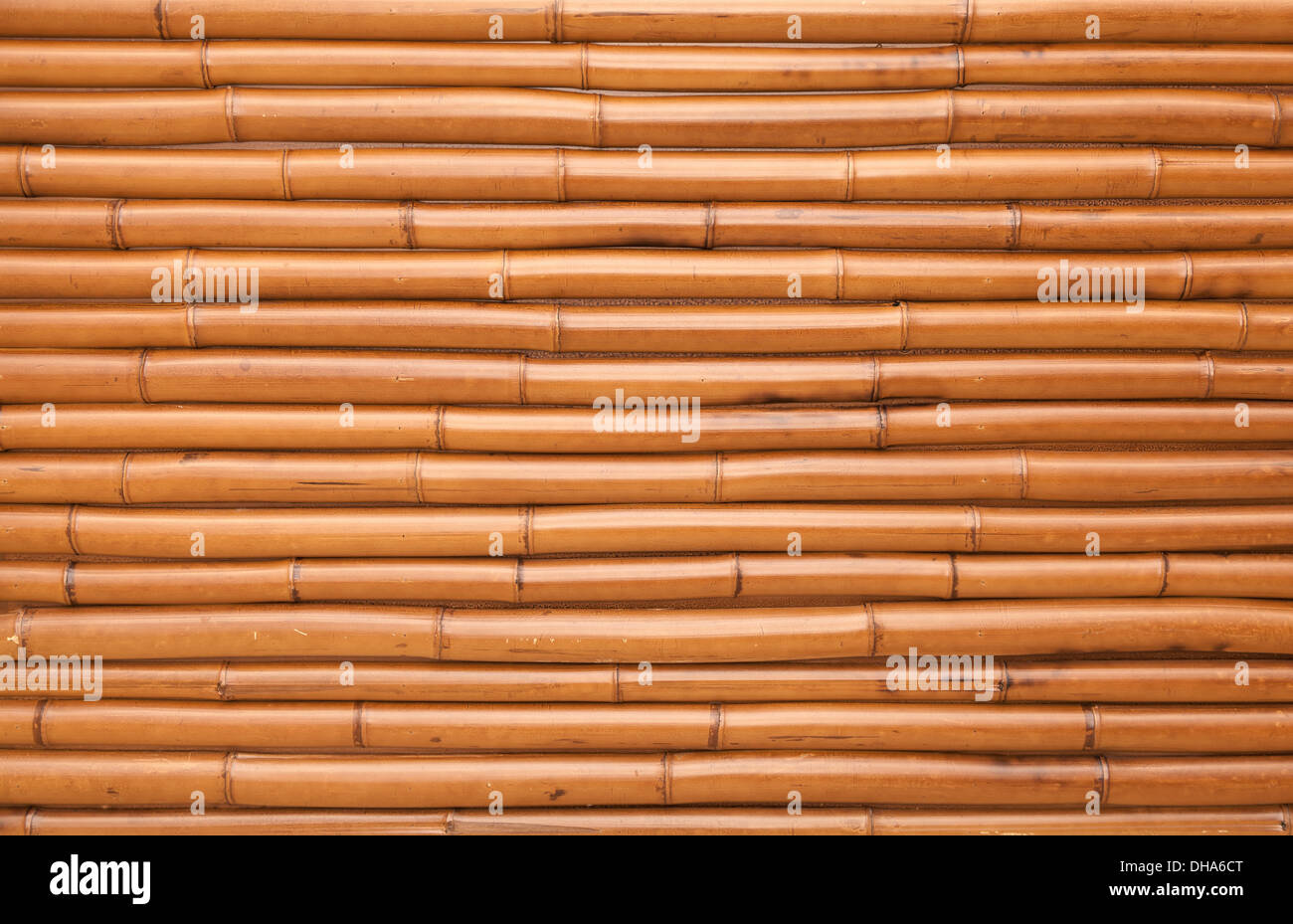 New shining bamboo wall horizontal photo background texture Stock Photo