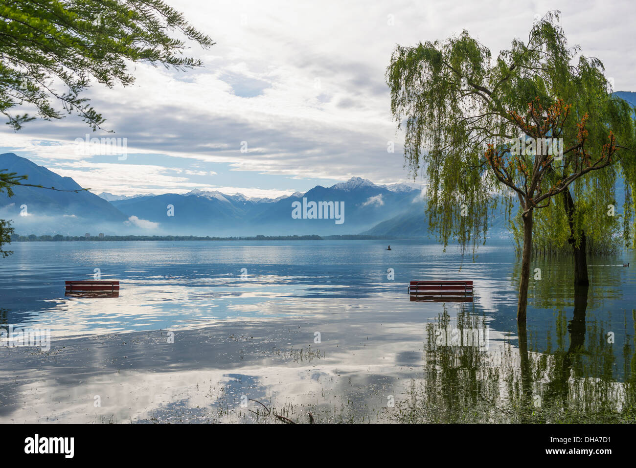 Floating Wooden Docks On A Tranquil Lake Stock Photo Alamy