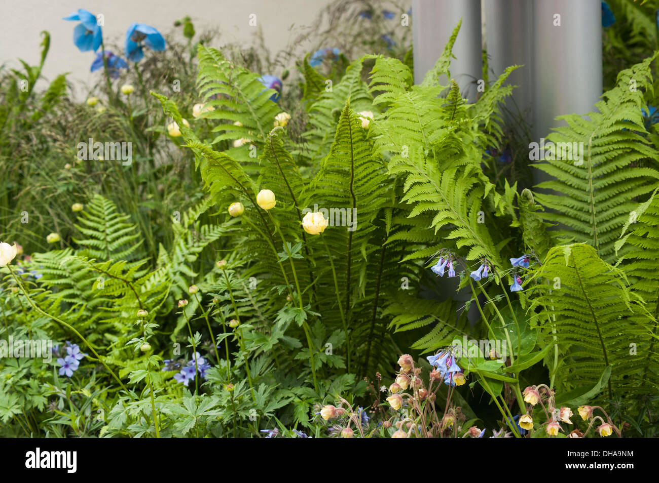 Chelsea Flower Show 2013, RBC Blue water roof garden, Designer Prof Nigel Dunnett. Gold medal Stock Photo