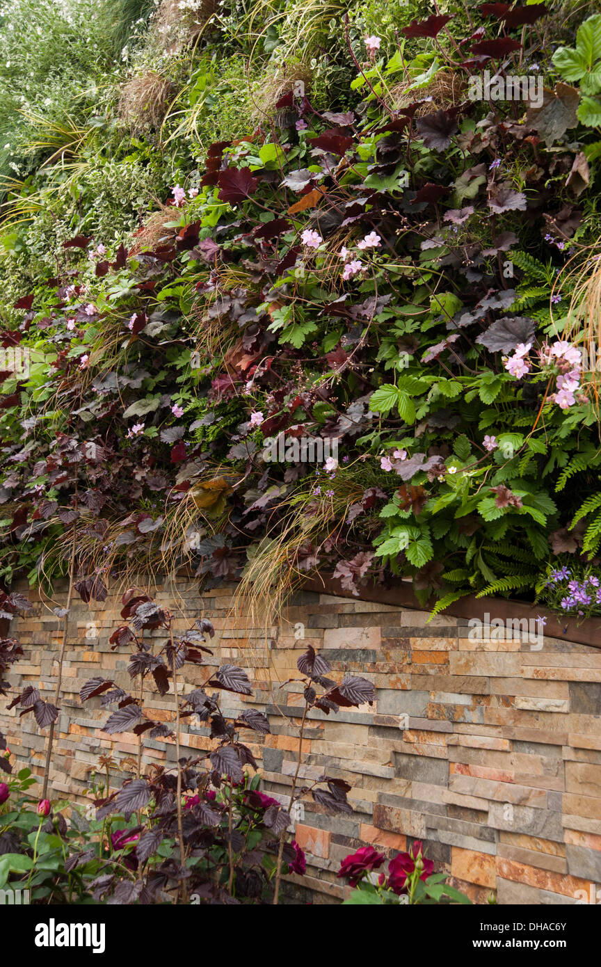 Chelsea Flower Show 2013 Stoke-on-Trent's story of transformation Designer Stoke-on-trent council landscapers. Silver Flora Stock Photo