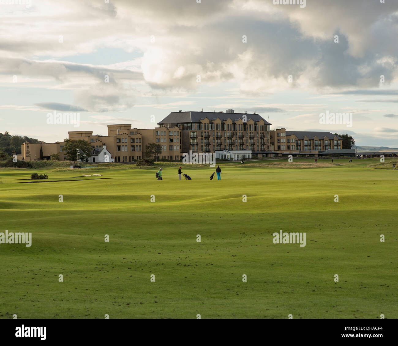 My Image 32