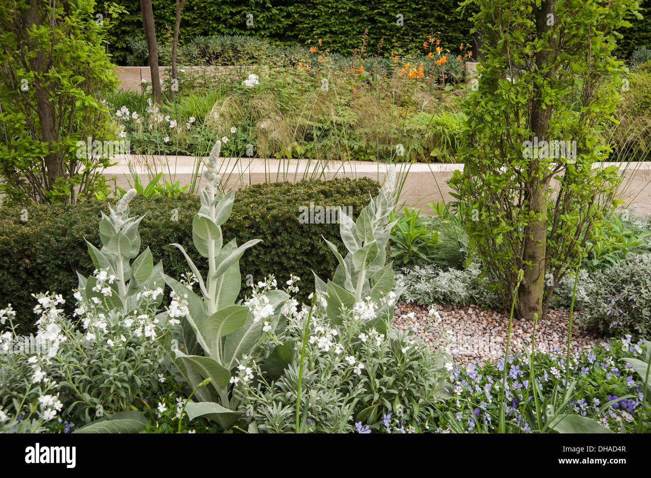 Chelsea Flower Show 2013, Laurent Perrier garden, Designer Ulf Nordfjell. Gold award Stock Photo