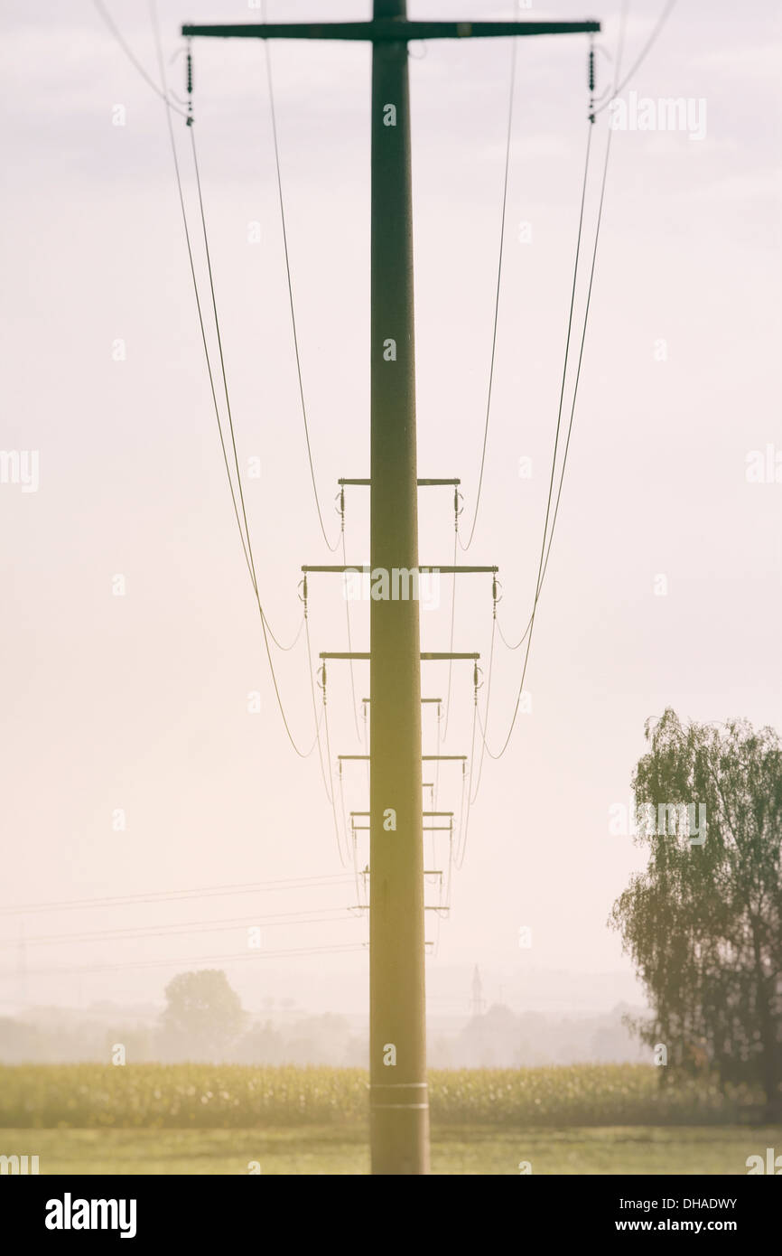 An overhead mast in the morning mist Photographed upright image decorated in muted colors Stock Photo