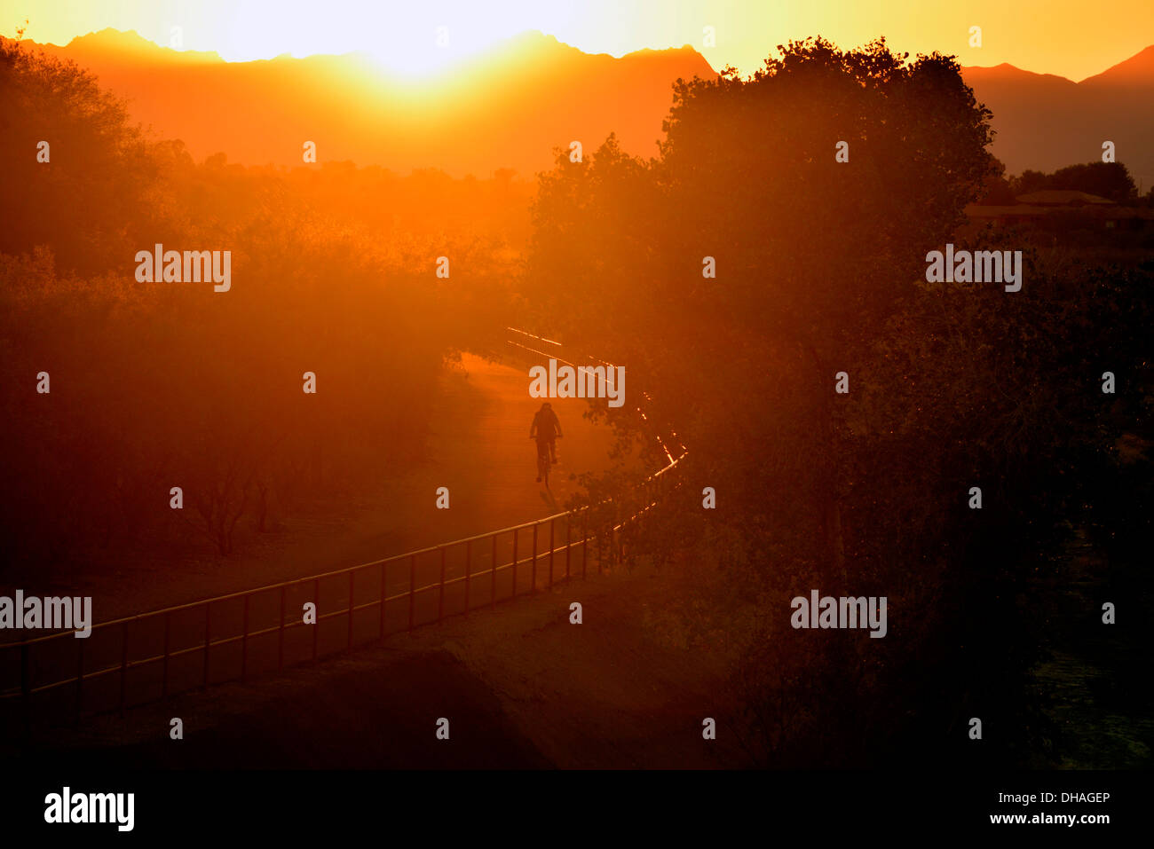 A cyclist rides The Loop at the Rillito River Park in the Sonoran