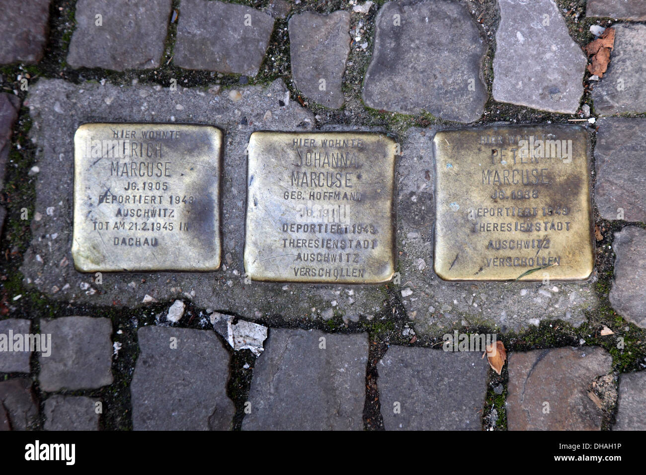 Three of many brass memorials set in the pavement in Hackescher to Jewish Holocaust victims, Berlin Stock Photo