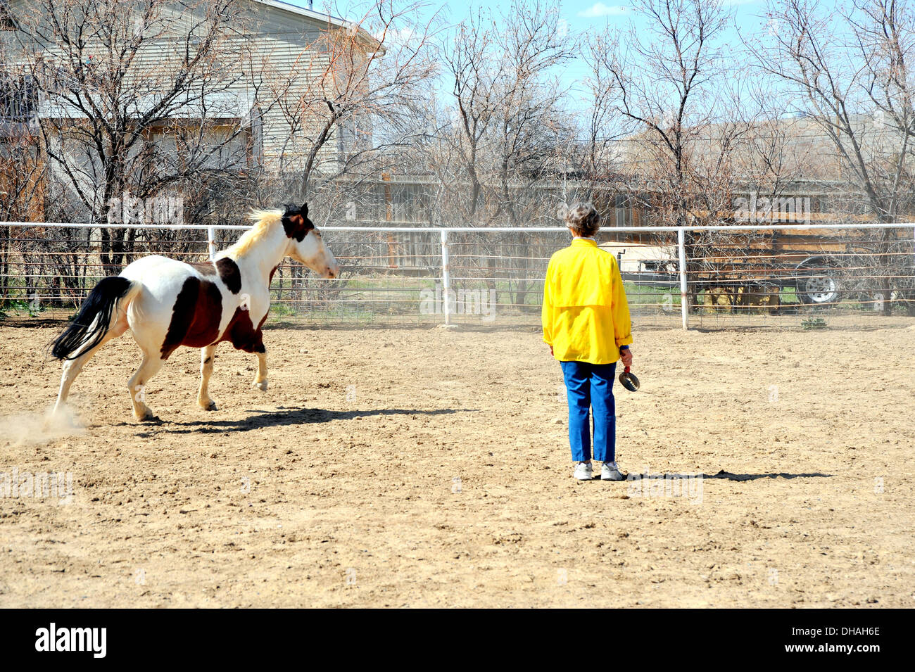 Female rancher and horse Stock Photo - Alamy