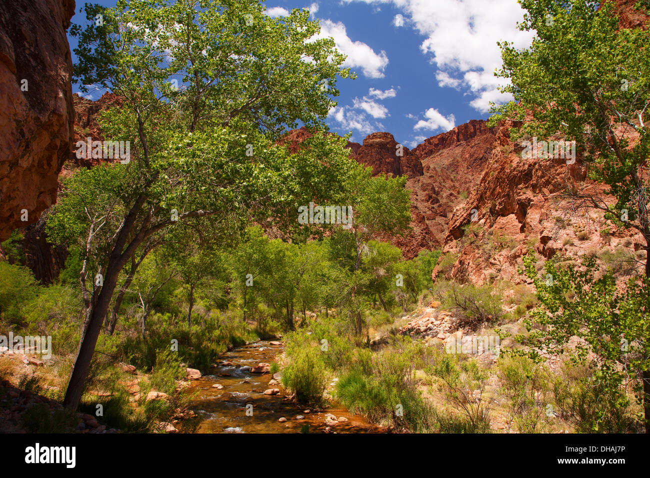Bright Angel Creek at the bottom of Grand Canyon National Park, Arizona. Stock Photo
