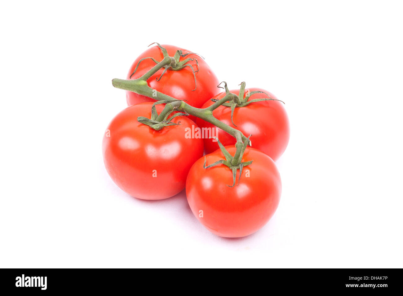 tomatoes on a vine isolated on a white background Stock Photo - Alamy