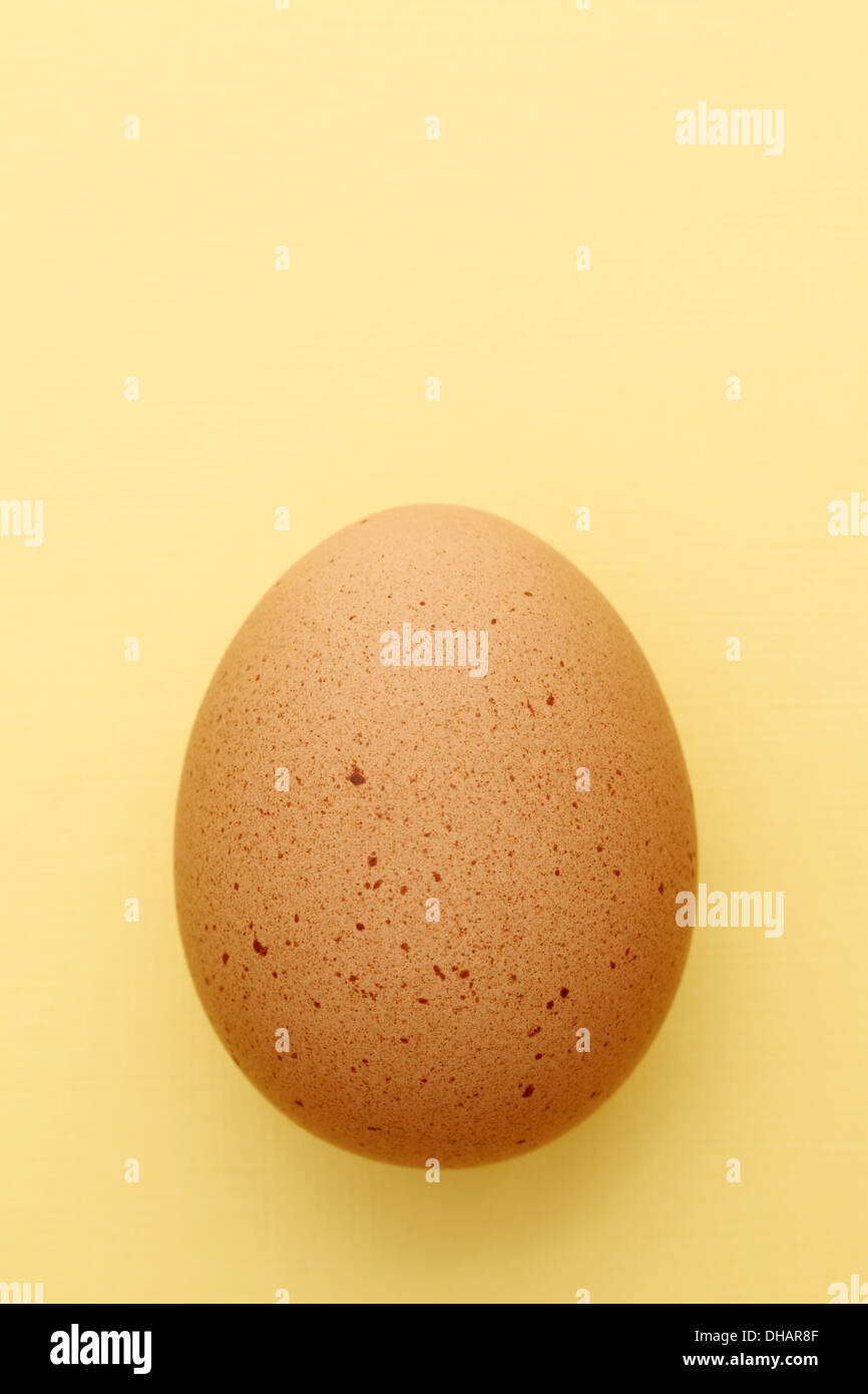 brown egg on a yellow background Stock Photo Alamy