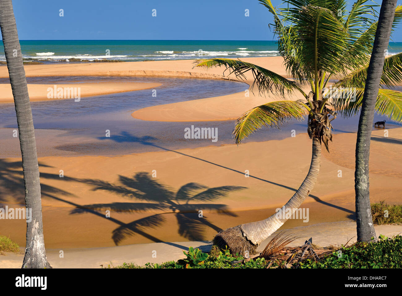 Brazil, Bahia: Paradise beach Praia Imbassaí Stock Photo