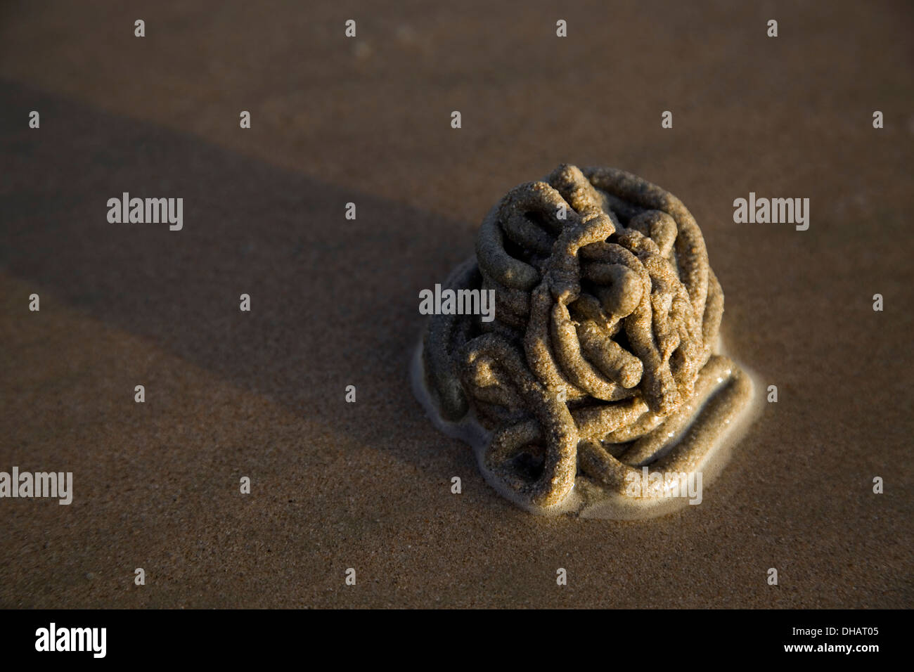 Sand, worms, beach, Thailand, detail, sunset Stock Photo