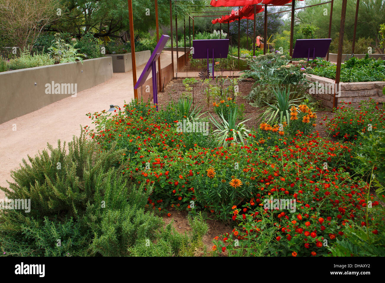 Desert Botanical Garden, Phoenix, Arizona.  Stock Photo