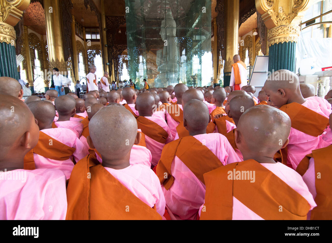 A sea of balled heads. young Buddhist nuns in a religious gathering by the white marble Buddha at the Kyauk Daw Kyi Pagoda. Stock Photo