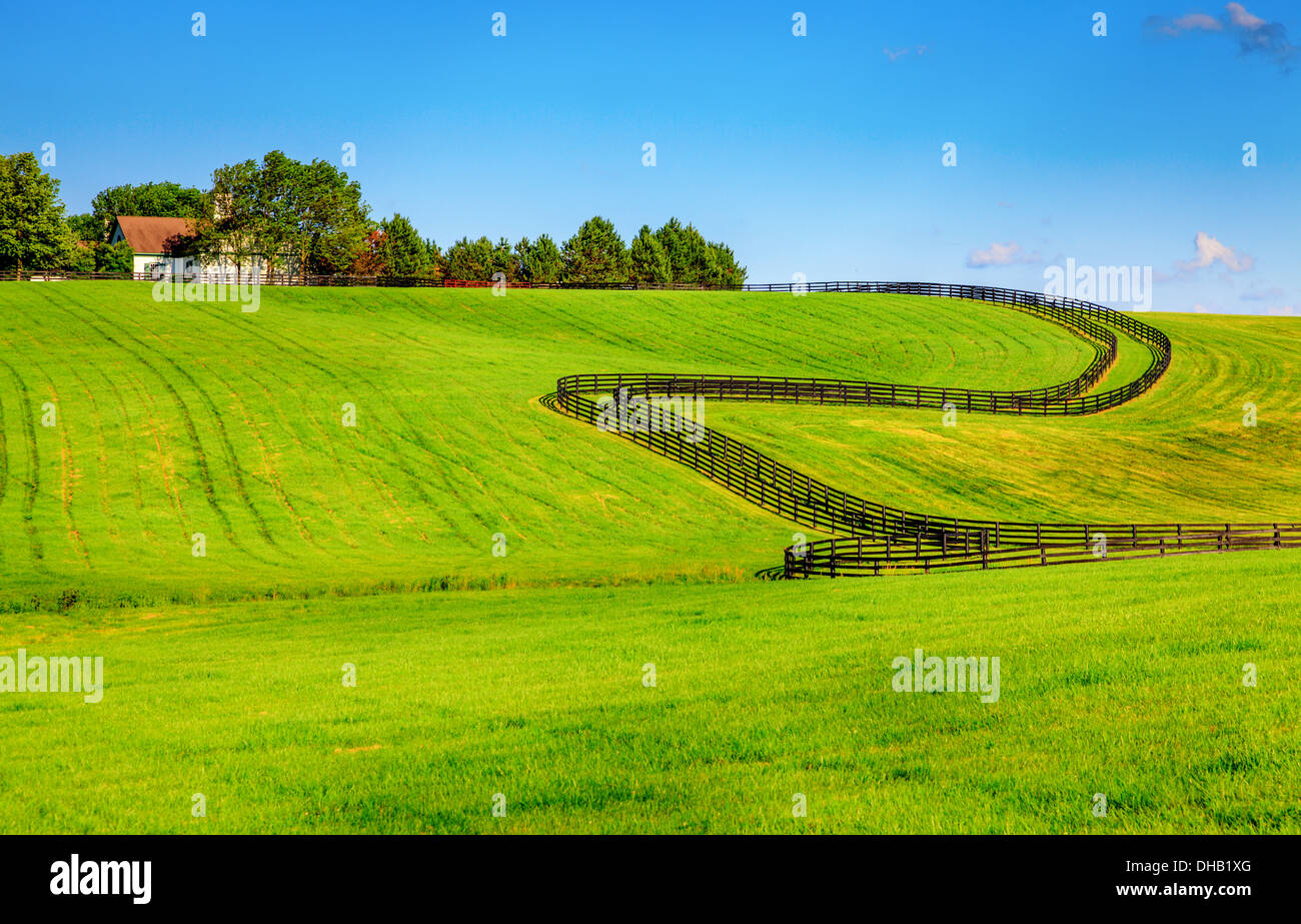 Horse farm with black fences Stock Photo