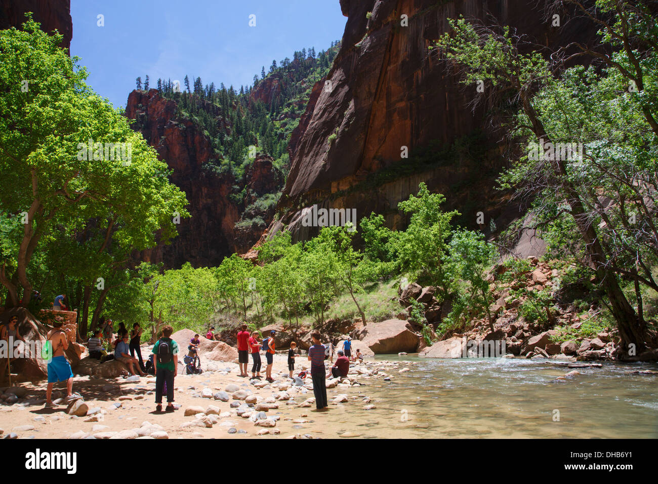 Hikers in The Narrows on the Virgin River, Zion National Park, Utah. Stock Photo