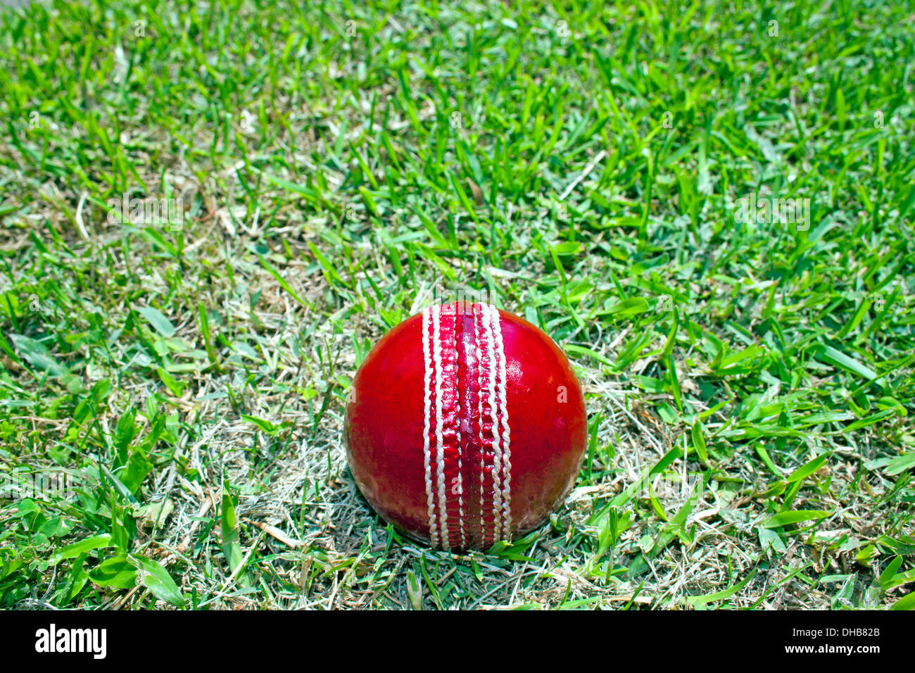 new bright red cricket ball on green grass field Stock Photo